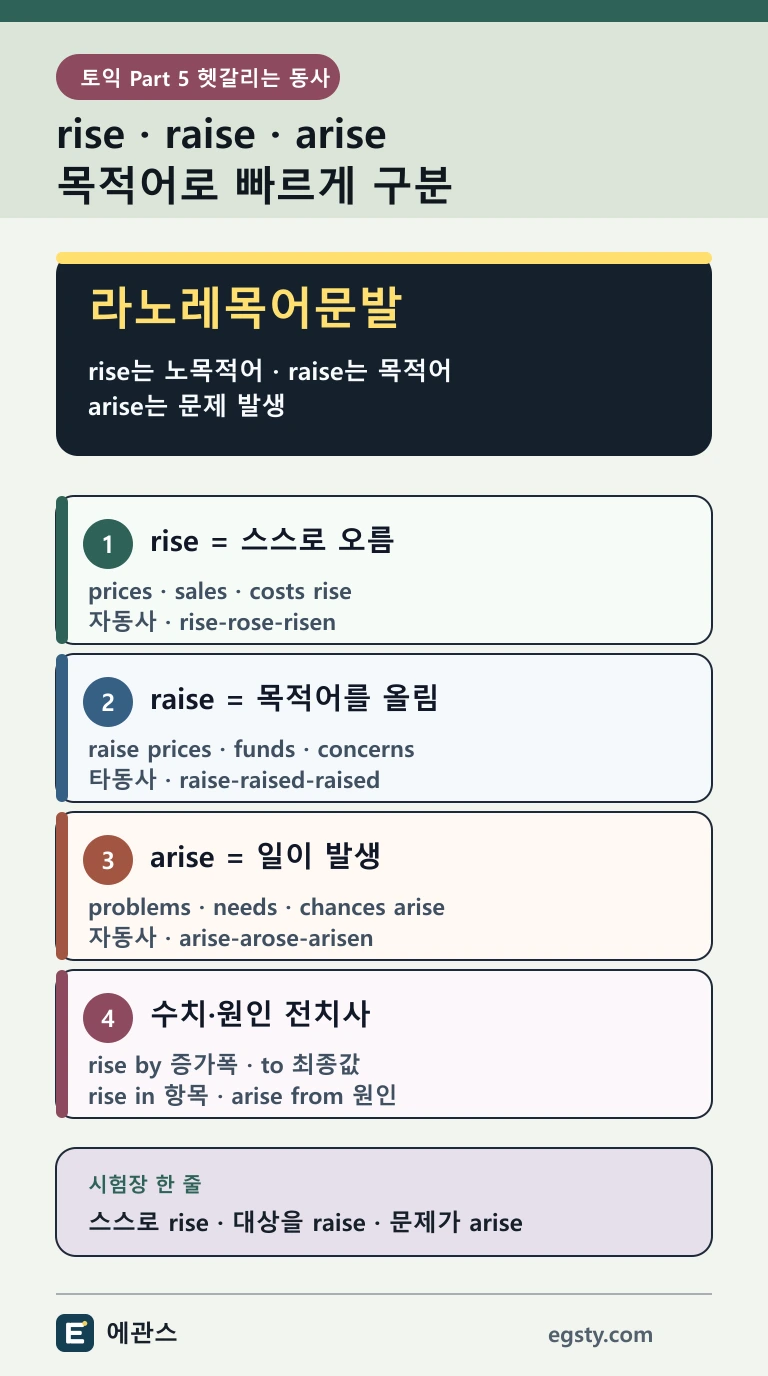 토익 rise raise arise를 목적어 유무, 의미, 불규칙 변화와 수치 전치사로 구분하는 인포그래픽